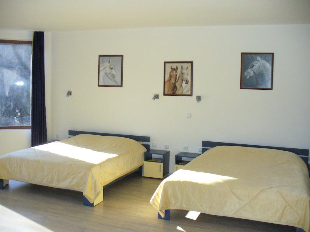Guest House Alfa Daniel Balkanets  客房 照片