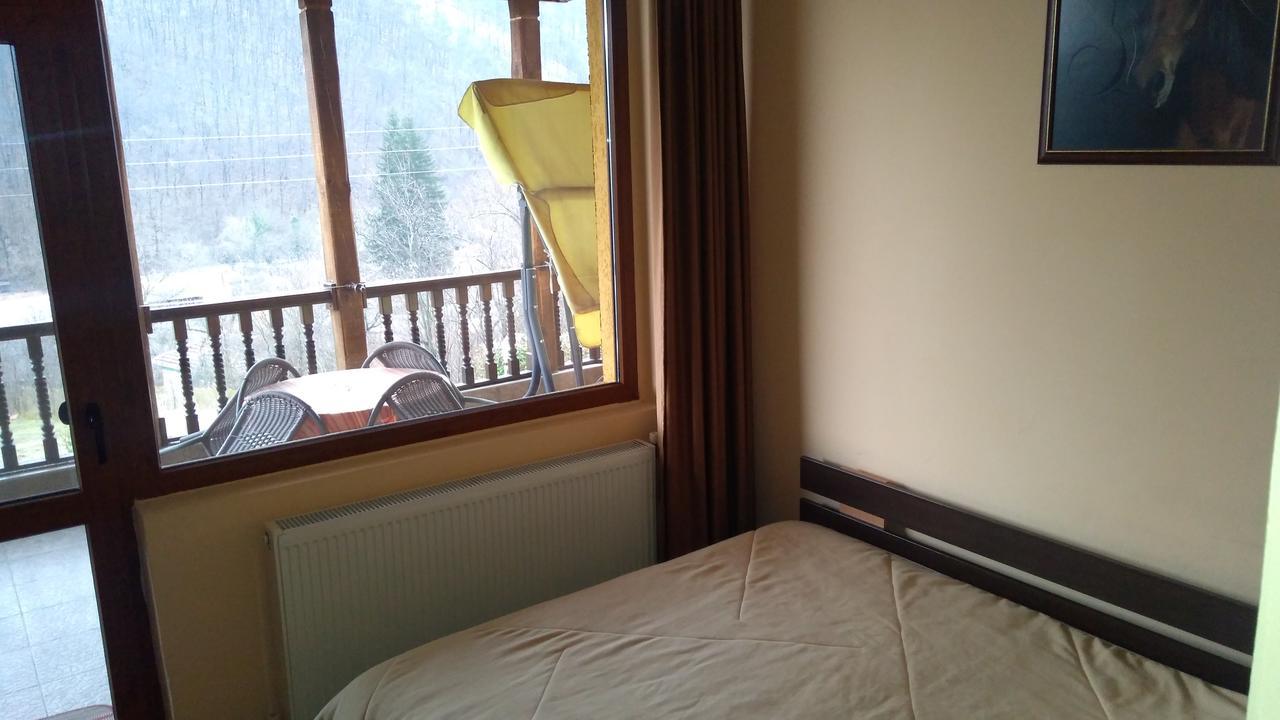 Guest House Alfa Daniel Balkanets  外观 照片