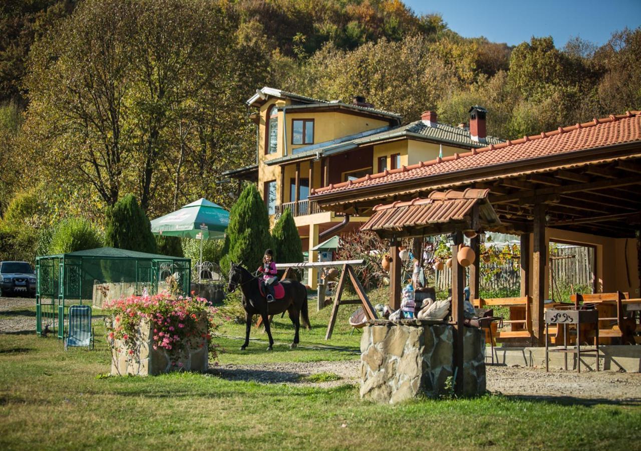 Guest House Alfa Daniel Balkanets  外观 照片